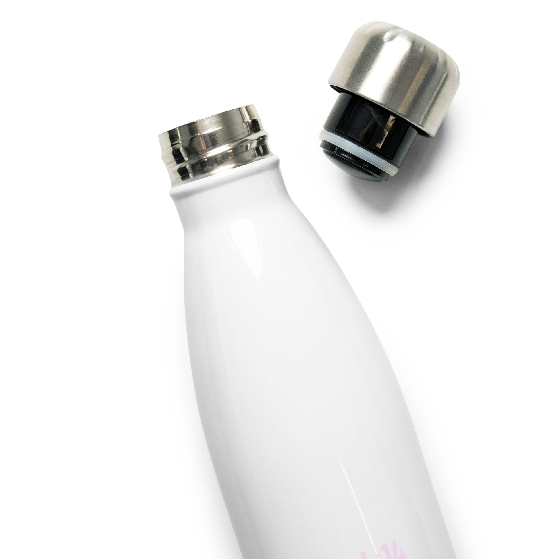 Stainless steel water bottle - Princess Armor E6:10Princess Armor E6:10Princess Armor E6:104016663_10798White